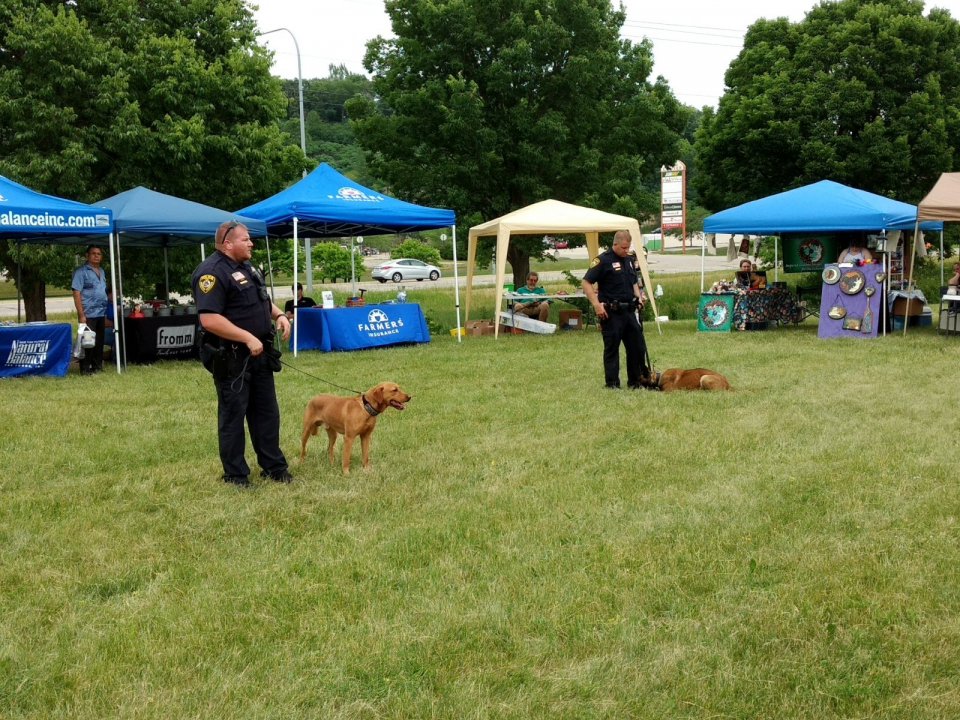K-9 Carnival2